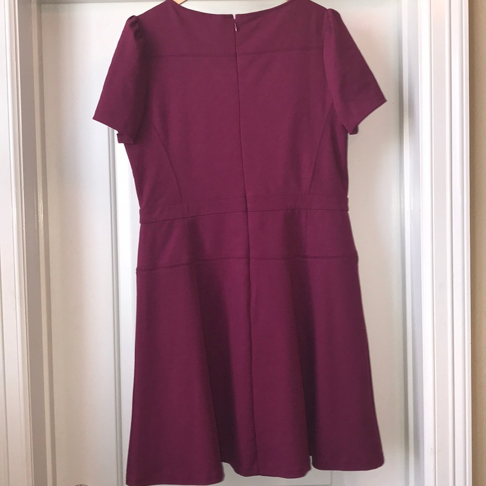Short Sleeve Skater Dress
